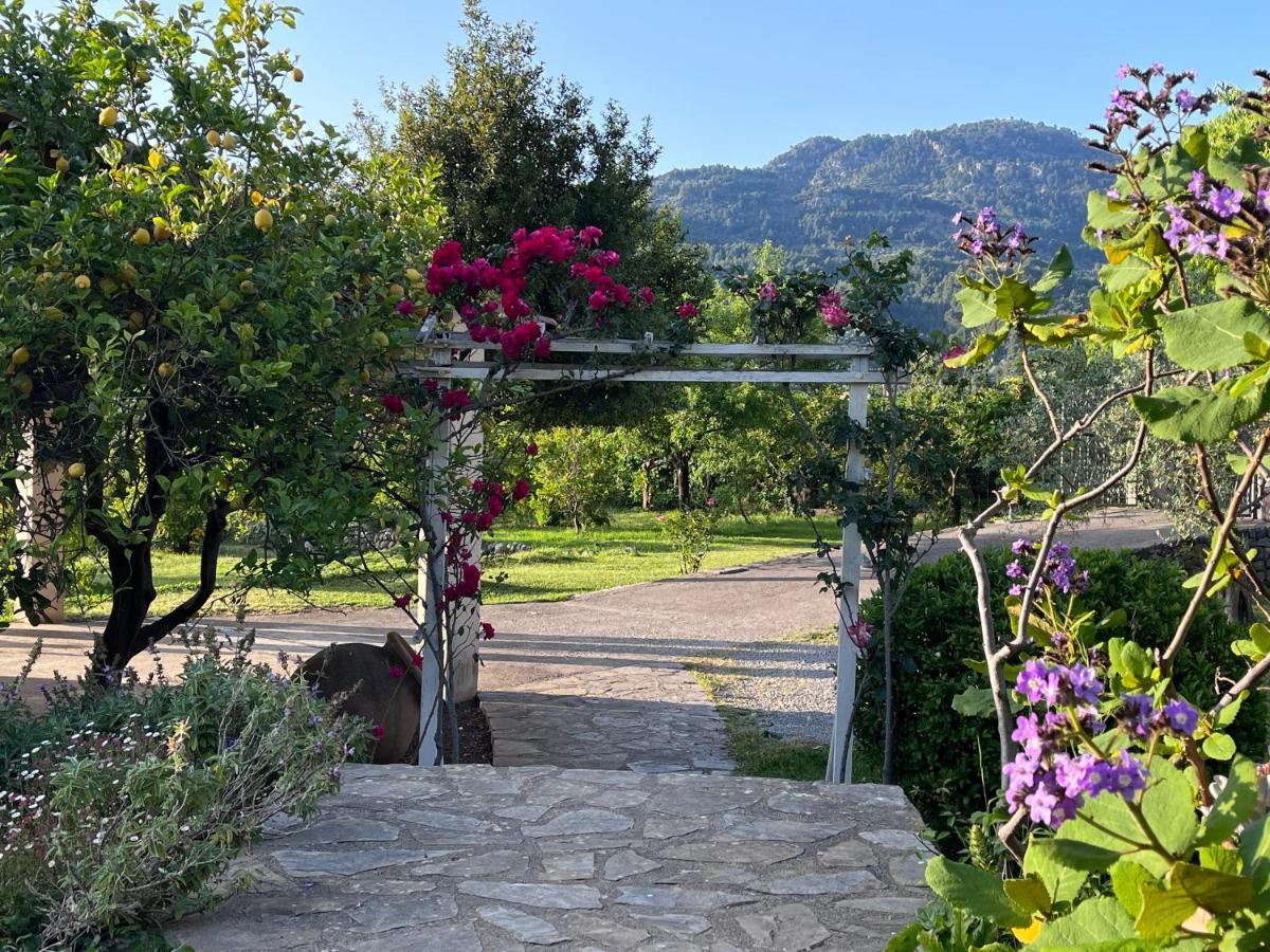Cas Puput Mallorca Sóller